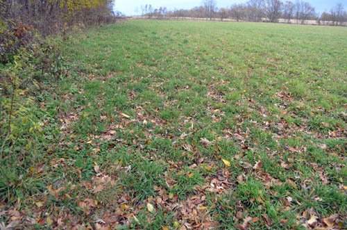 Property photo 26 - 80 Acres & Home - Property Offered in 4 Tracts from 2.3 to 30.0 Acres
